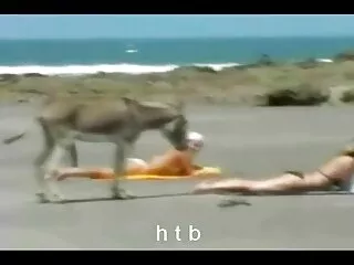 Perras ver online hentai sub español tetonas calientes
