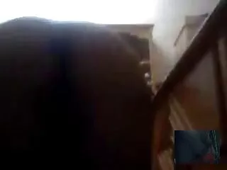 A la chica le encanta chupar con un videos porno subtitulados en español gratis cigarrillo
